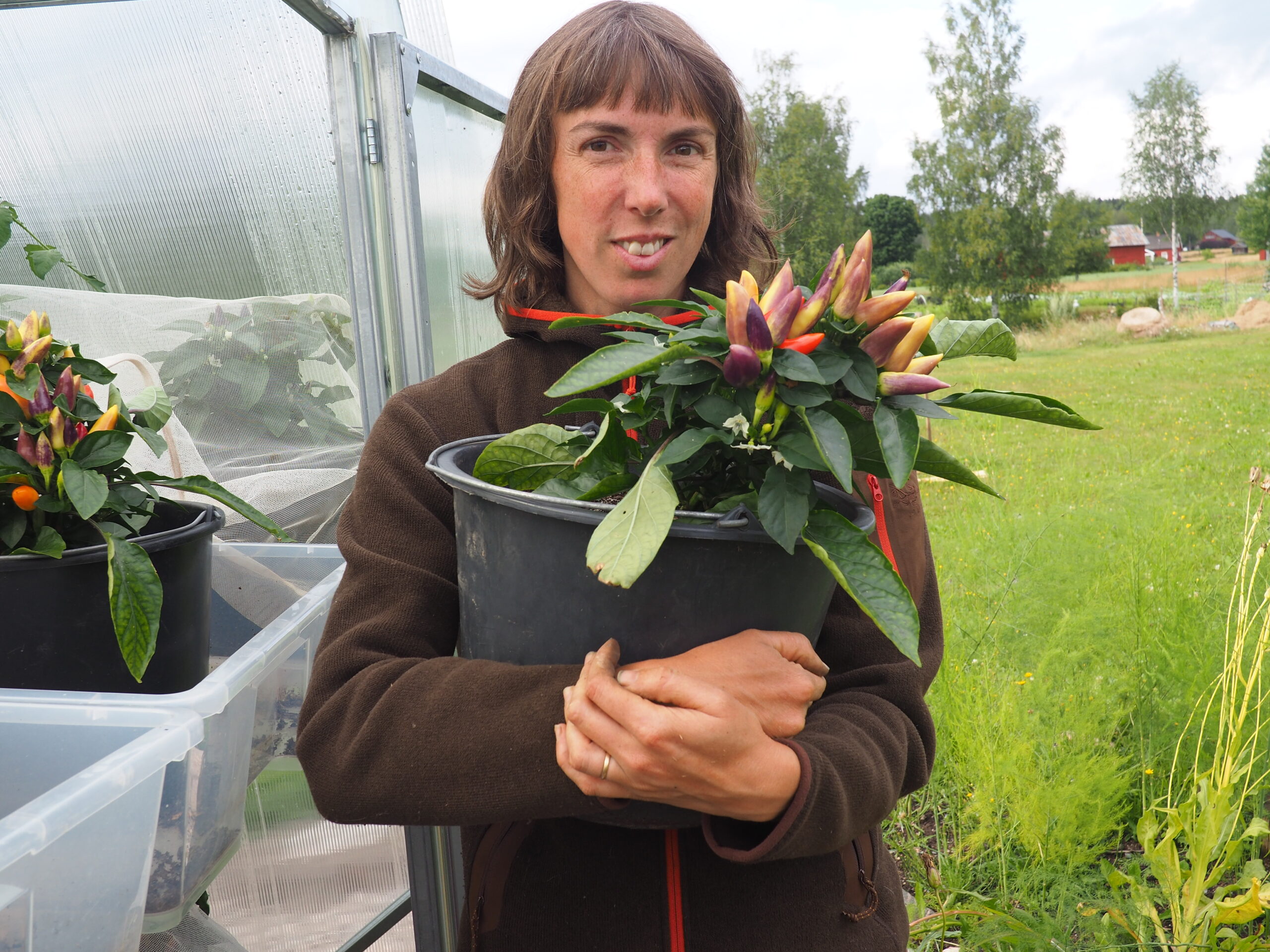 Moa på Tobyn permakultur, Arvika